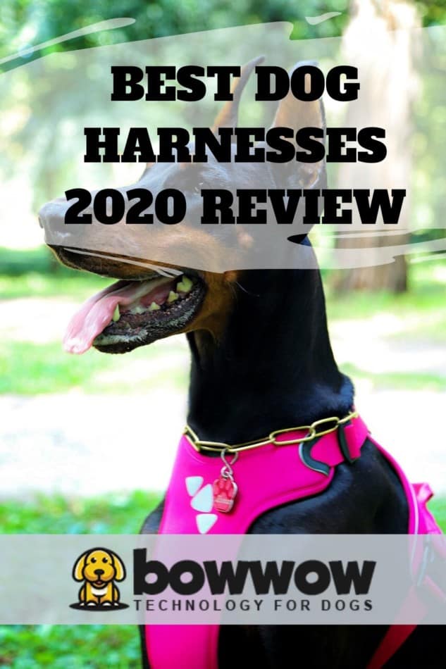 BEST DOG HARNESSES
