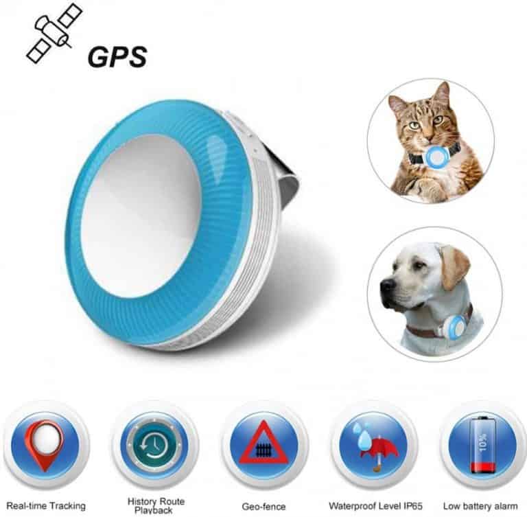 What is the Best GPS System for Tracking Your Dog? 5 GPS Dog Trackers